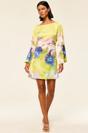 TWIGGY DRESS